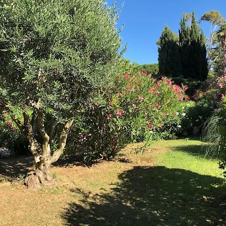 Saint Clair Pieds Dans L'eau Le Lavandou