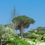 Apartman Saint Clair Pieds Dans L'eau Le Lavandou