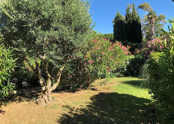 Saint Clair Pieds Dans L'eau Le Lavandou